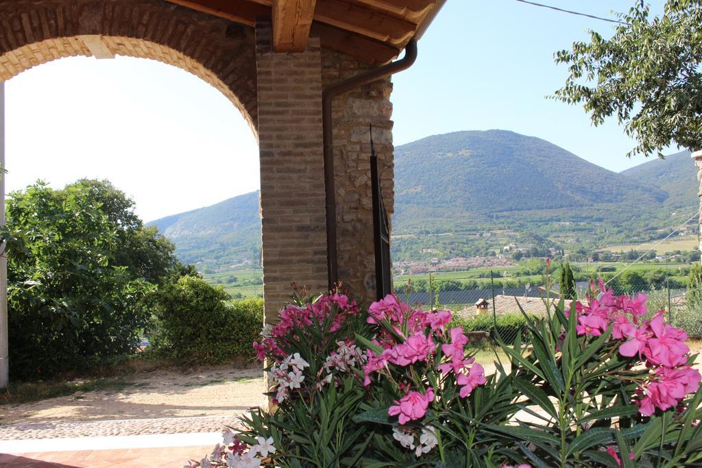 Giardino Degli Ulivi Apartment คาปริโน เวโรเนเซ ภายนอก รูปภาพ