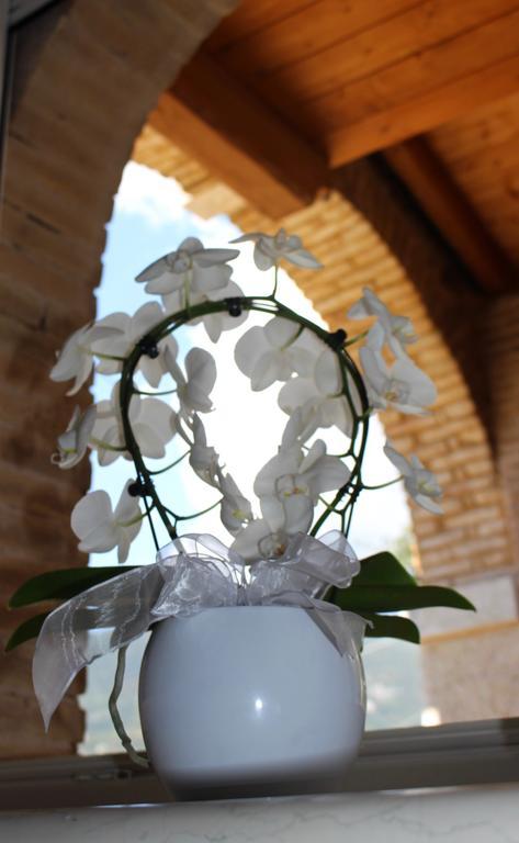 Giardino Degli Ulivi Apartment คาปริโน เวโรเนเซ ภายนอก รูปภาพ